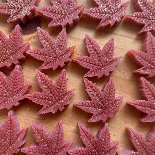 Wax Melts vs Candles: Which Is Better for Your Space?